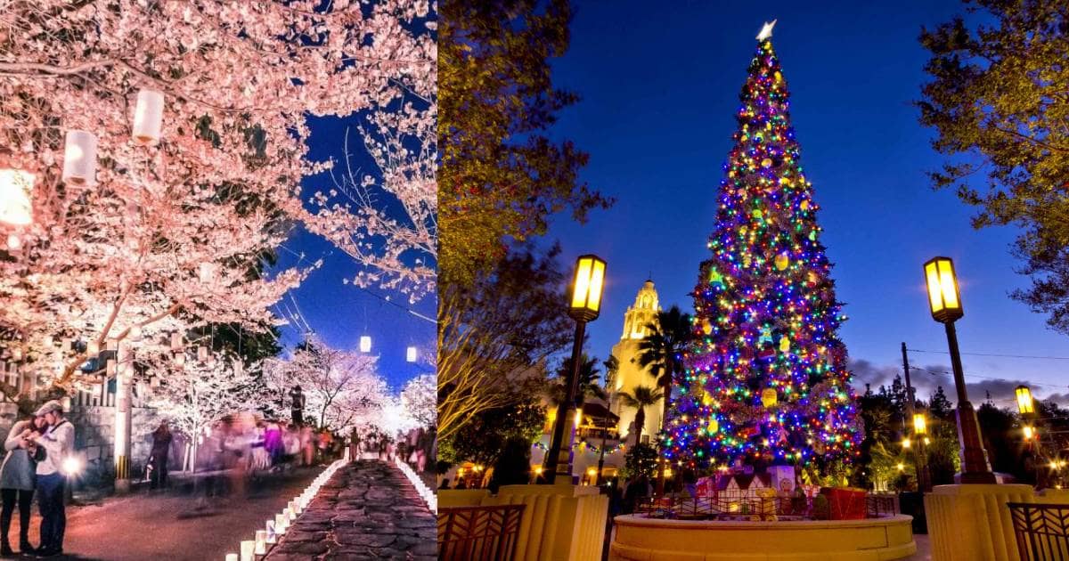 Christmas Cheer: Best Celebration Places City-wise in Shillong, Meghalaya